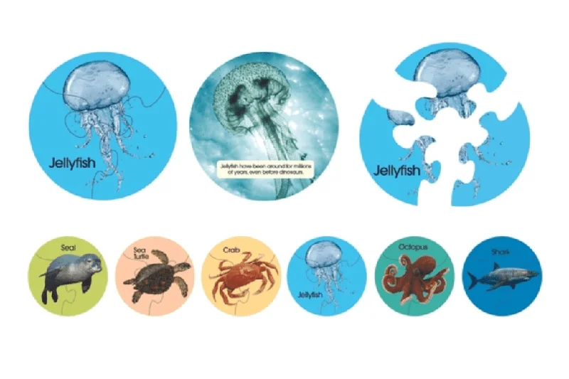 3 Piece Sea Life Animal Puzzles (6 pack)