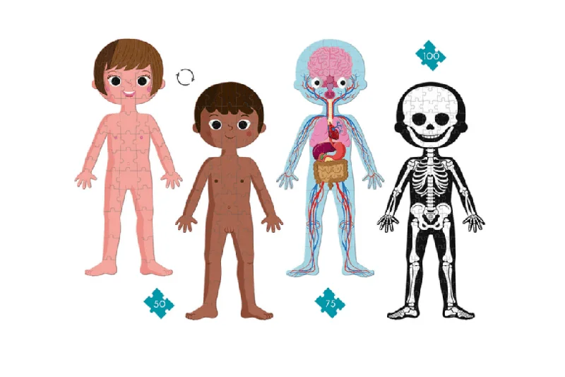 4 in 1 Educational Puzzle - Human Body