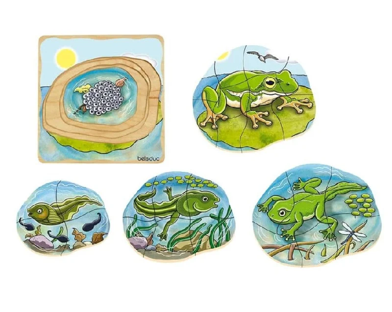 Beleduc Layer Puzzle - Life Cycle of a Frog