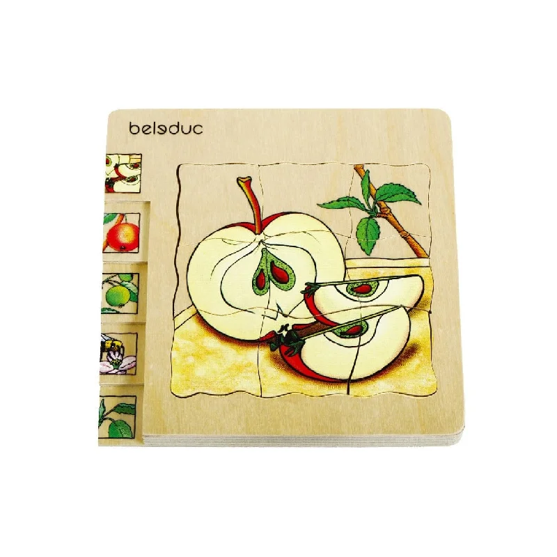 Beleduc Layer Puzzle - Life Cycle of an Apple