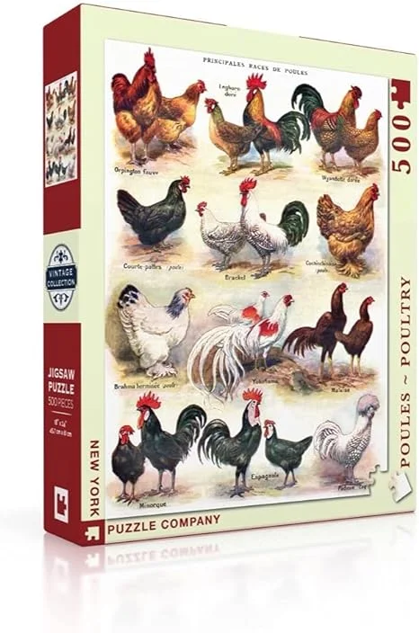 POULES-POULTRY 500PC PUZZLE